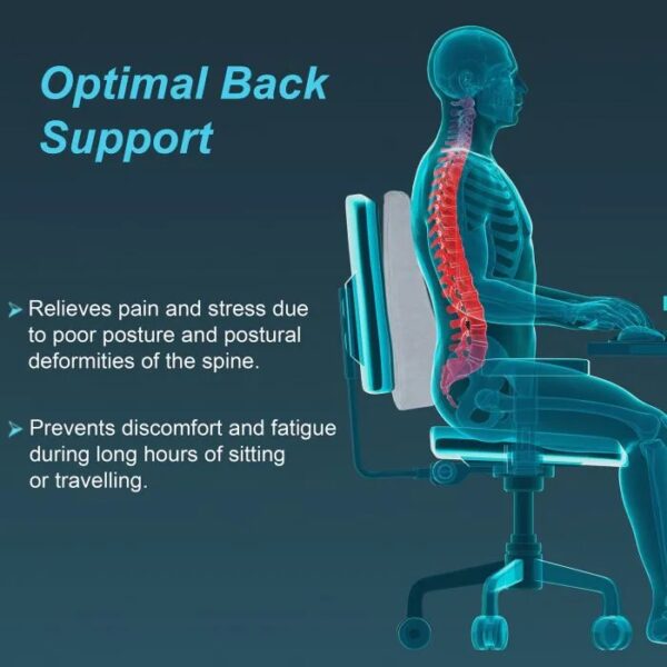 BACK REST FULL(Tynor) - Image 2