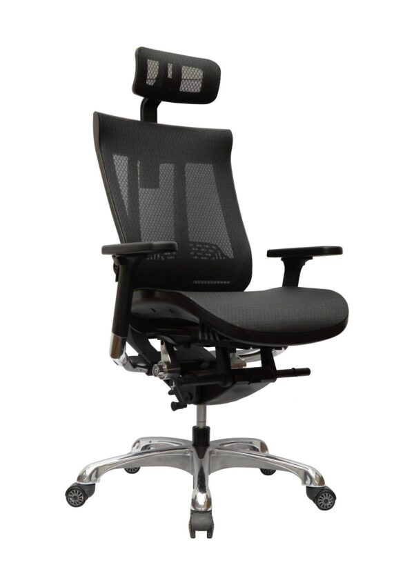 Orthopedic Chair- ORH-02 - Image 2